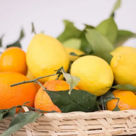 Casa Sorrentina 4* Sorrent